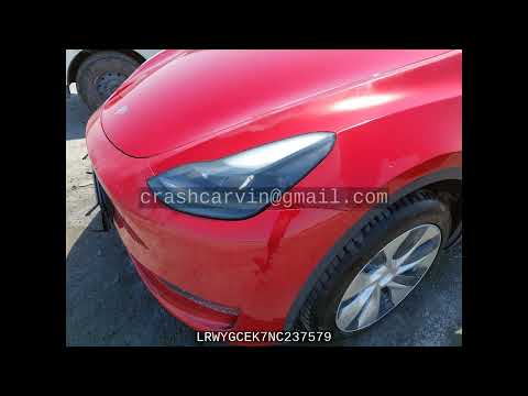 LRWYGCEK7NC237579 - Tesla MODEL Y 2022